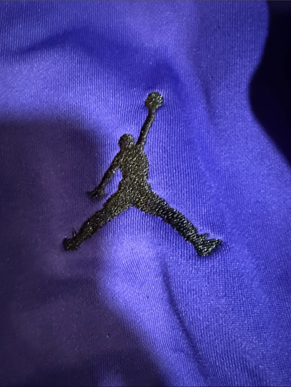 Jordan Zip-Up Hoodie in Royal Blue with Black Jumpman